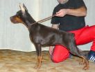 Nadja Betelges in Serbia 5 months old