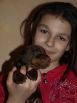17 days  old puppies from Toscano del Diamante Nero - Zora Betelges